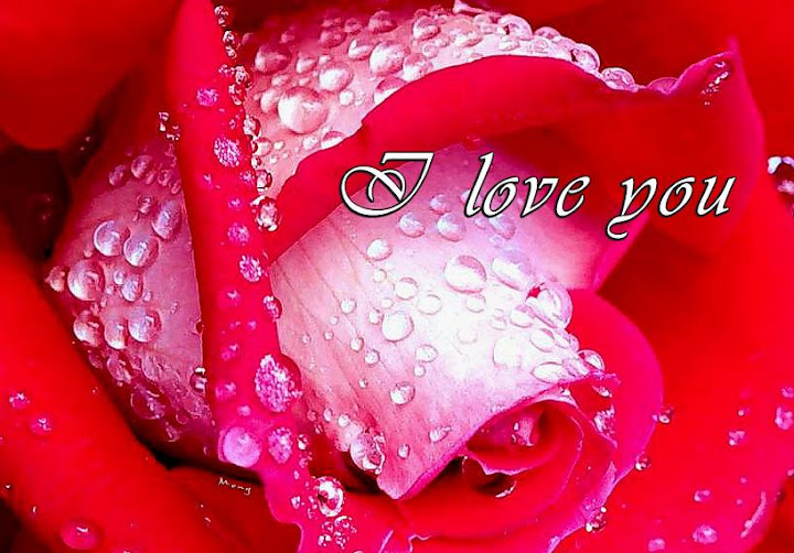 Lindas postales de amor facebook