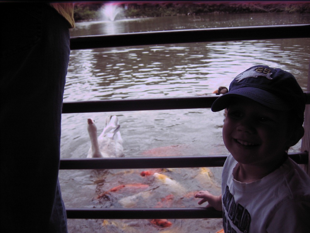 [IMG_2363%255B4%255D.jpg]