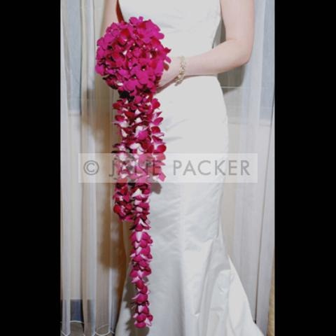 [atsa00054-jane-packer4.jpg]