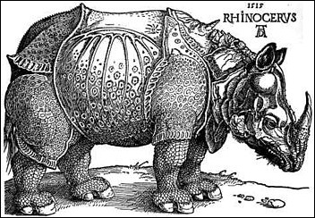 Dürer, Gravure de rhinocéros