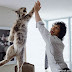 hi5-funny-animals.jpg