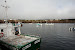 OPC wharf