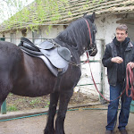 IMGP0276.JPG