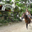 P1060182 (Copy).JPG