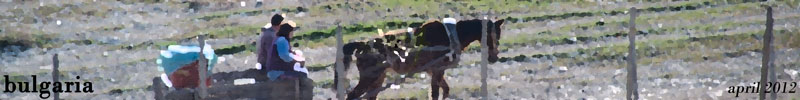 Bulgaria banner