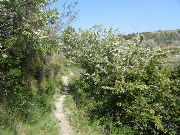2013_04180075.jpg