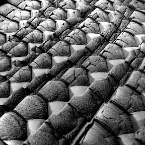 robotic sand forming workshop