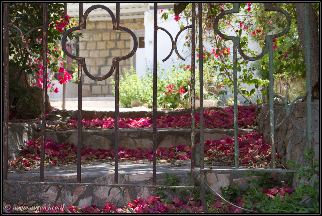 Эйн Ход - Деревня художников