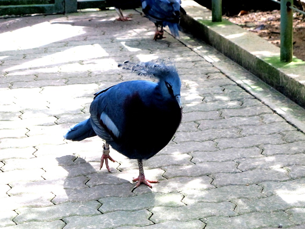 [IMG_9808%255B4%255D.jpg]