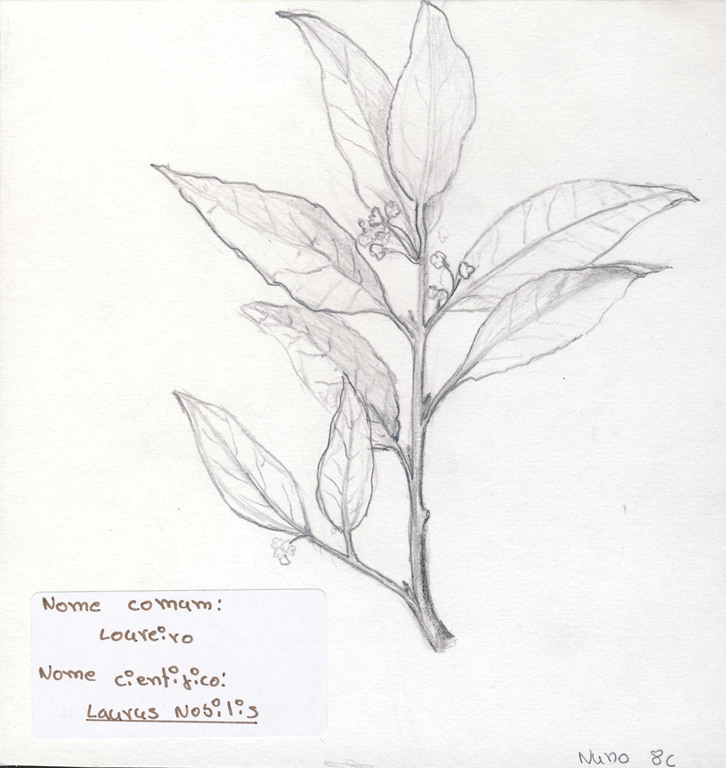 [image%255B9%255D.png]