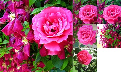 View album