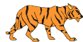 tigeranm tigeranm