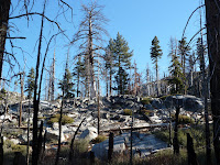 P1000537.JPG