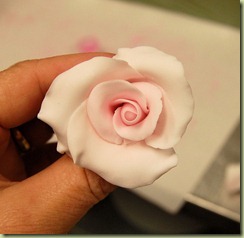 pinkroses13 pinkroses13