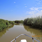 IMG_5733.JPG