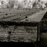 "Close Up" - copyright Trasi Kromer