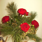 BILD4269.JPG