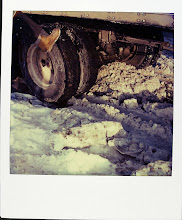 jamie livingston photo of the day January 18, 1982  Â©hugh crawford