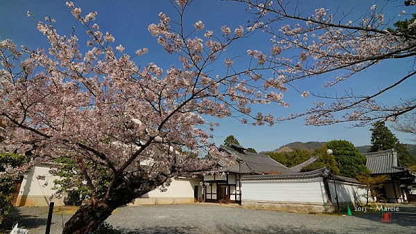 京都真如堂