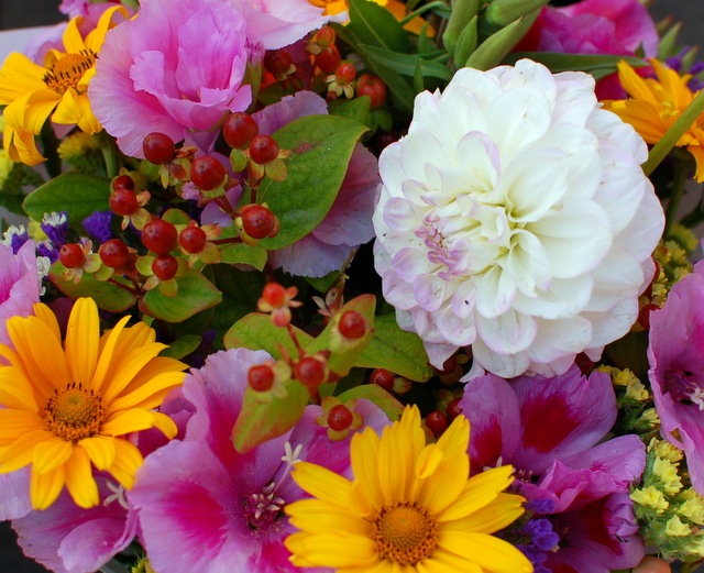 [DSC_6341%255B5%255D.jpg]