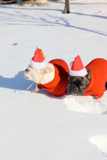 Franny, I'm getting a little cold.  Maybe we should wait inside.