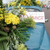 Bloemen corso 2011 (10).jpg