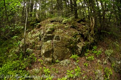 Quoddy _ROT9344 NIKON D3S July 03, 2011