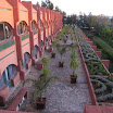 IMG_3570.JPG