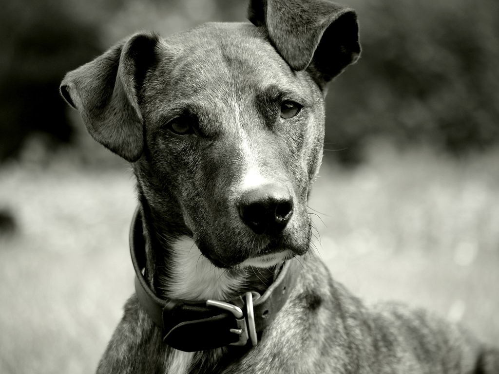 [23%2520May%252010%255B3%255D.jpg]