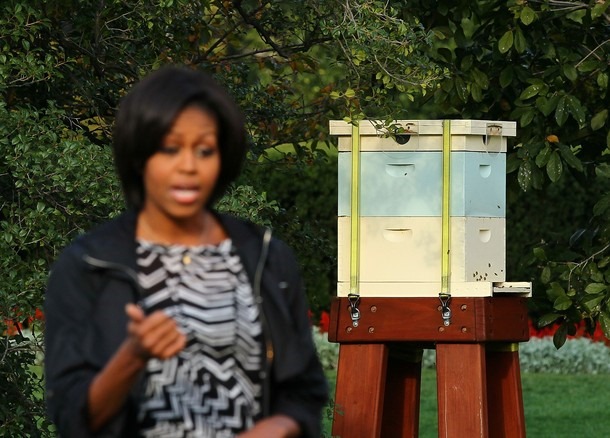 [bee-box7.jpg]