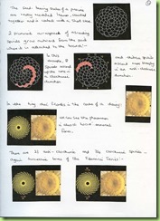 7.Page 11