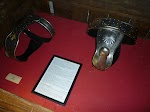P1020245.JPG