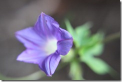 IMG_1897 IMG_1897