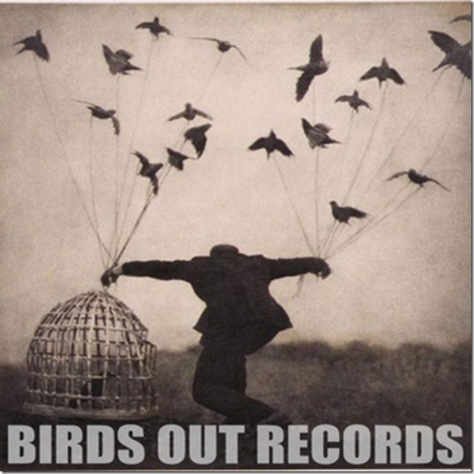 Birds Out Comp