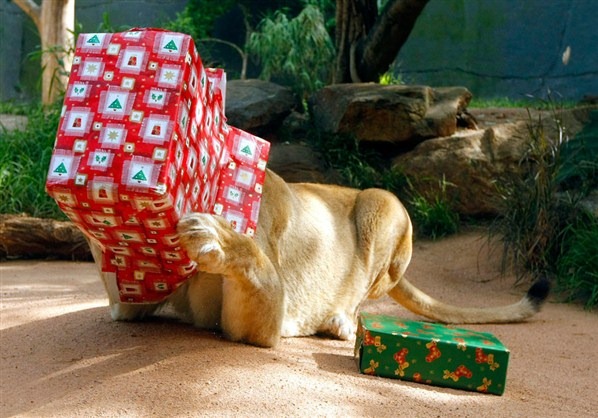 [Cute-Christmas-Creatures-03%255B2%255D.jpg]