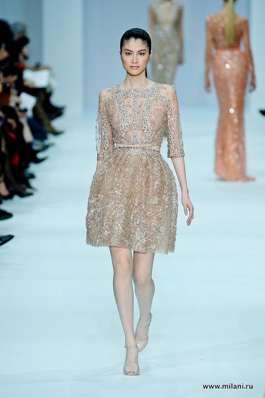 elie-saab-haute-couture-sprg-2012-pfw47.jpg