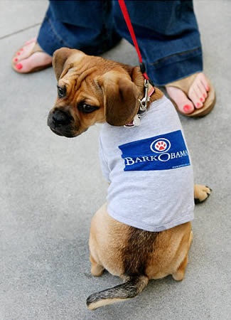 [obama_dog%255B3%255D.jpg]