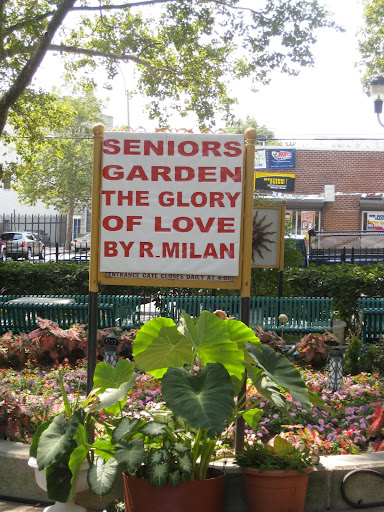 Senior citizens play a major role in many of the NYCHA gardens. This one centers around a large, concrete circular bed. Senior citizens play a major role in many of the NYCHA gardens. This one centers around a large, concrete circular bed.