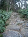 IMG_4855_512.JPG