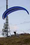 Go. . Foto: Roy Samuelsen - http://tnett.no/roy/