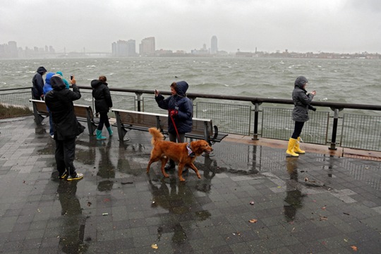 [hurricane-sandy-people-photos-6%255B2%255D.jpg]