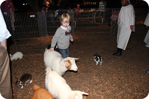 IMG_0475e