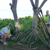 Kamaole 2 workday 9-5-11 001.JPG