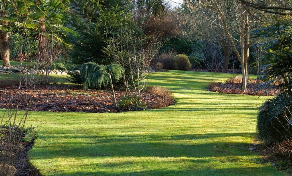 [DSC06637%255B3%255D.jpg]