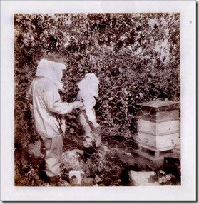  beekeeping ghosts 