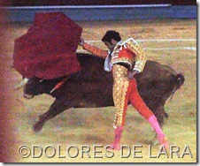 ©DOLORES DE LARA