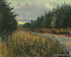 The Company of Trees by Jock Nichol