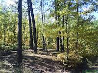 DSC00164.JPG