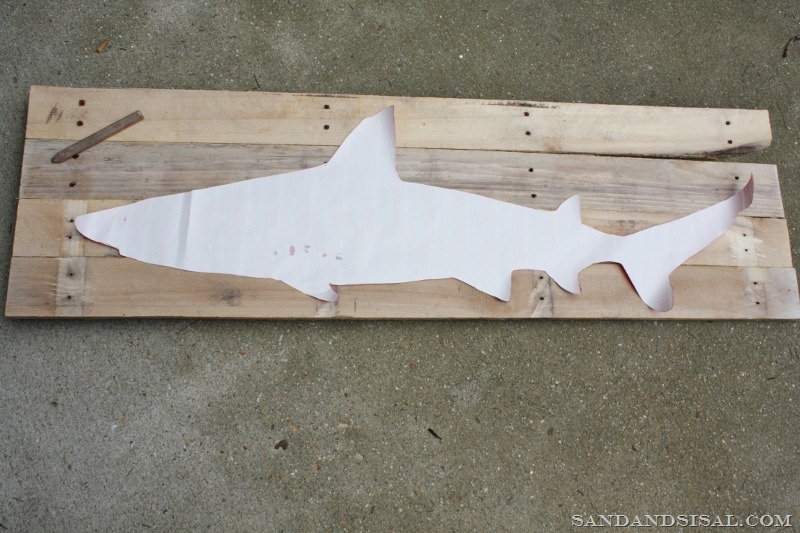 [Draw-shark-onto-pallet-wood-800x5334.jpg]