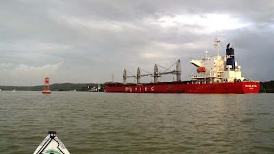P3141868.JPG